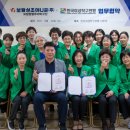 보람상조애니콜
