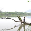 아카데미마케팅