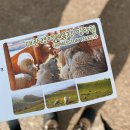 오두목장 이미지