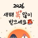 효성약국 이미지