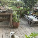 팔팔한우촌 이미지