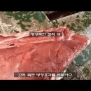 이유참치