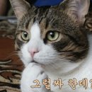뽀대나 - 남양주시 마석로17번안길 3 | 뽀대나