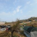 약사부동산중개사무소 이미지