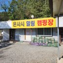 서울 근교 키즈 애견동반 캠핑장 파주 &#34;은사시힐링오토캠핑장&#34;