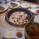 한돈소 이미지