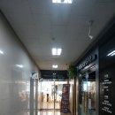 로와살롱 이미지