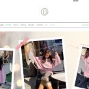 곰부인네