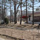 공지숲매점 이미지