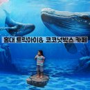 AR트릭아이전 | 홍대 코코넛박스 카페 트릭아이 뮤지엄 아이와 가볼만한 곳