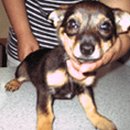 인왕유치원 이미지