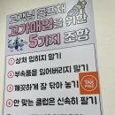 7아이언 | 중랑구 노원구 골프샵 미즈노 프로 241 아이언 시타후기