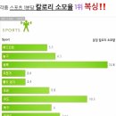 송강홍복싱