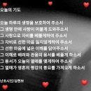 백두산야초 이미지