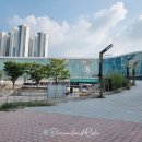 캣스쿨 | 2024 궁디팡팡 캣페스타 일산 킨텍스, 궁팡 페스티벌 고양이 박람회 후기