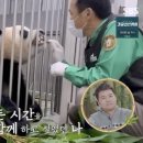 판다스튜디오 이미지