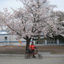 탄동천2 이미지