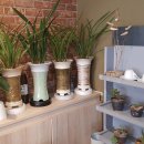 원대로북카페협동조합 이미지