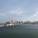 씨크루즈 이미지