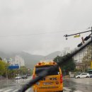 청룡태권도체육관 이미지