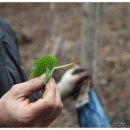 단비농장 이미지