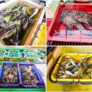 구조라위판장 이미지