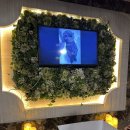 (주)펫바라기 네이버블로그