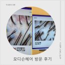 6177 | [광교두피관리] 모디슨 광교점, 프리미엄 케어로 힐링하고 온 솔직 후기
