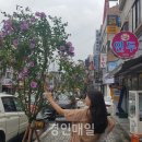 문화로 89번길 이미지