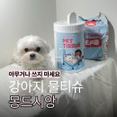 몽드펫 | 강아지 물티슈 아무거나 쓰면 안 되는 이유 몽드시앙 내돈내산 후기