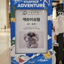 개순이상점 이미지