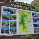 도원지기 이미지