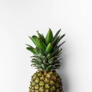 파인애플 이미지