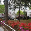 고려스포렉스(고려해수탕) 이미지