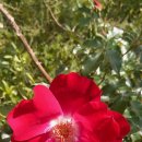 베말공원 이미지