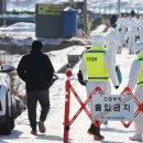 이동가축병원 이미지