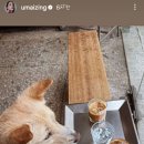 정아수퍼 이미지