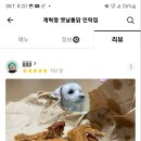 황금옛날통닭 이미지