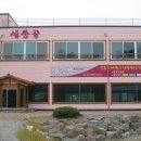세종골