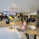 레즈코프 커피 이미지