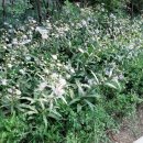 화원어린이공원 이미지