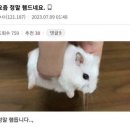 유한회사롯데리아 순천 | 29, 8월 일상