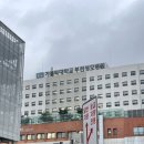 가톨릭대학교부천성모병원