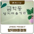 양지마을2길 네이버블로그