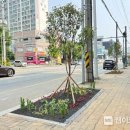 사계절 이미지