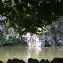 봉바위돌집민박 이미지