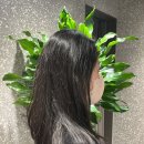 세하디자인 이미지