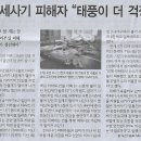 호우농장 Daum카페
