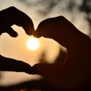 닥스결혼정보 이미지