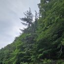 일월산산장 이미지